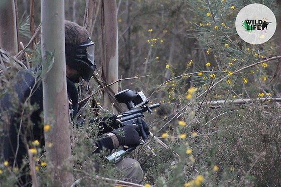Wild Life - photo 1