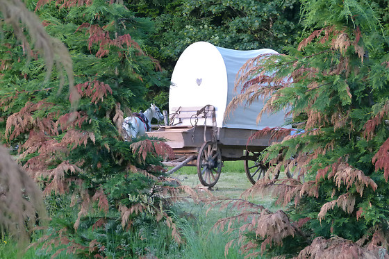 La Ferme Aventure - photo 20