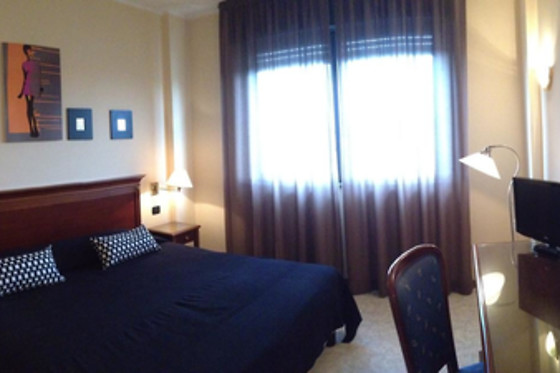 Hotel Fidenza - photo 7