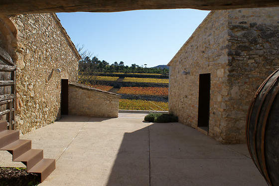 MAS RODO VITIVINICOLA - photo 6