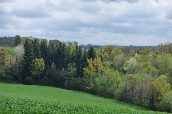 La Bastide - photo 8