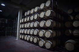 BODEGAS VIYUELA