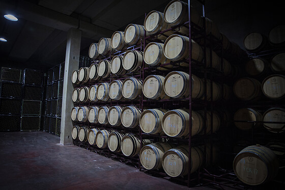 BODEGAS VIYUELA - photo 6