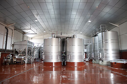 BODEGAS VIYUELA