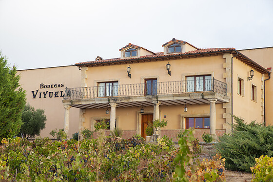 BODEGAS VIYUELA - photo 0