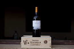 BODEGAS VIYUELA