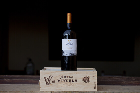 BODEGAS VIYUELA - photo 8