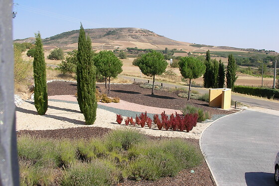 BODEGAS VIYUELA - photo 1