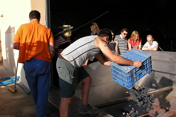 BODEGAS VIYUELA - photo 4