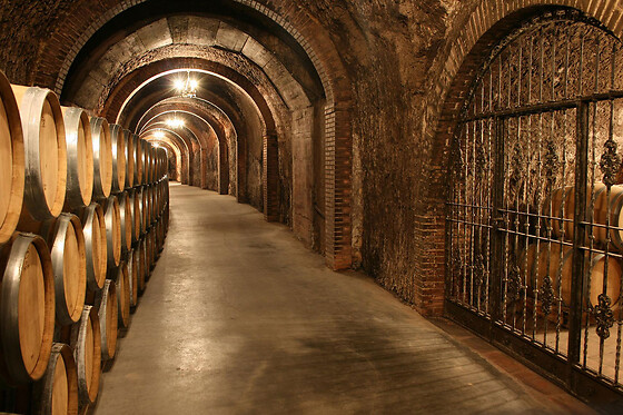 BODEGAS ISMAEL ARROYO - VALSOTILLO - photo 11