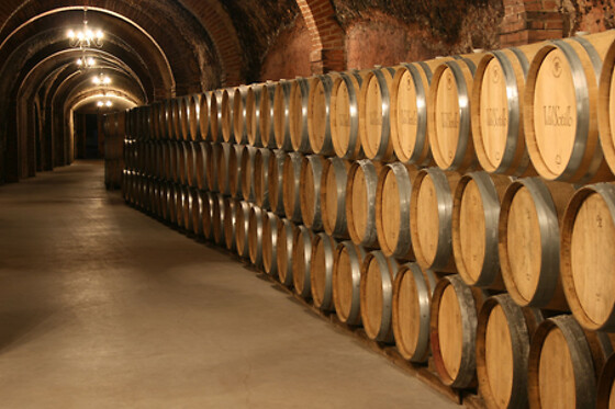 BODEGAS ISMAEL ARROYO - VALSOTILLO - photo 12