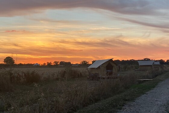 Ferme du Caroire - photo 4