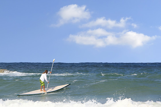 BORK YOU - photo 12