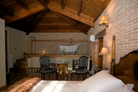 POSADA LOS CONDESTABLES HOTEL & SPA - photo 18