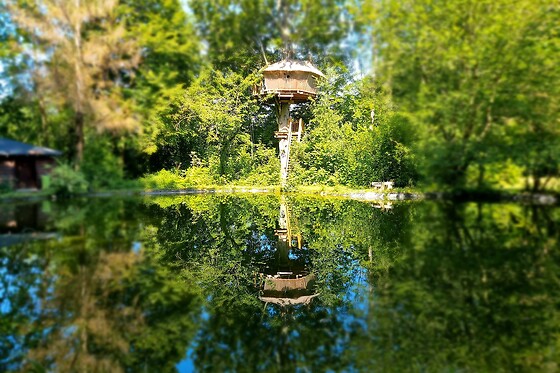 Domaine de Wail - photo 10