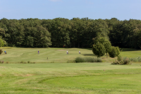 Ugolf Metz Cherisey - photo 3