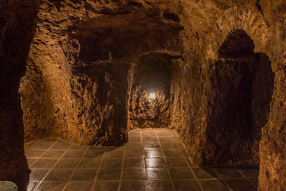 EL PÓSITO DE HITA & SPA LA CUEVA DEL AGUA - photo 5