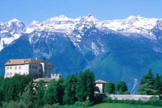 Agritur Pisani - photo 3