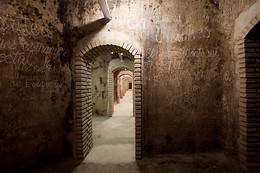 CELLER MASROIG