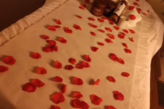 + BEAUTY - photo 7