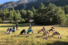 Yoga Naturo Nastasia Godfrin