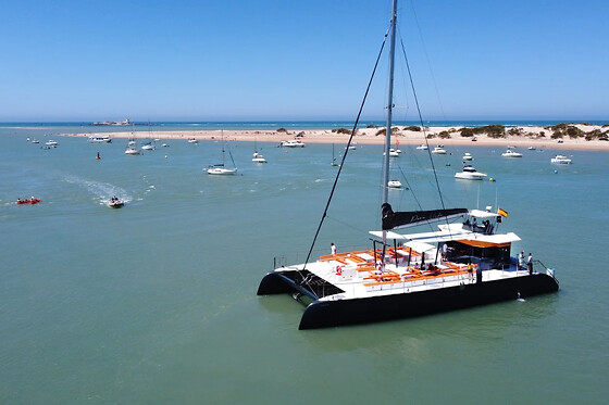 ALBARCO.COM - photo 6
