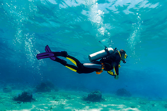 DIVE PARADIS - photo 3