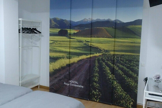 HOSTAL RIOJA CONDESTABLE - photo 6