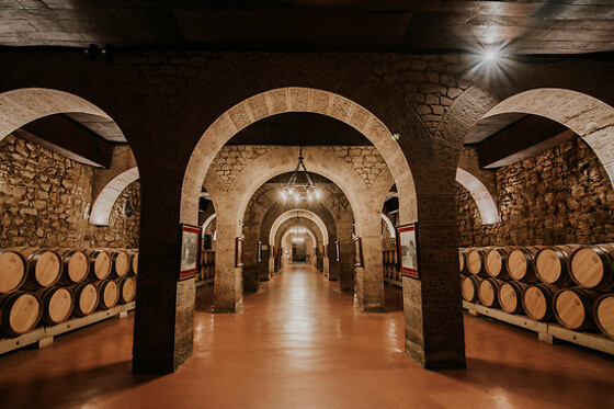 HOSTAL RIOJA CONDESTABLE - photo 8