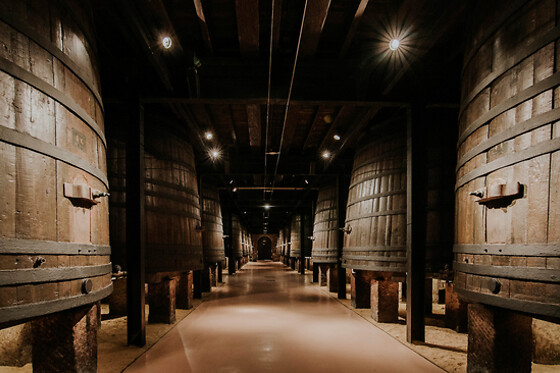 HOSTAL RIOJA CONDESTABLE - photo 9