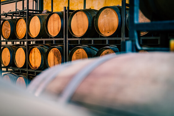 BODEGAS SANTA MARGARITA - photo 2