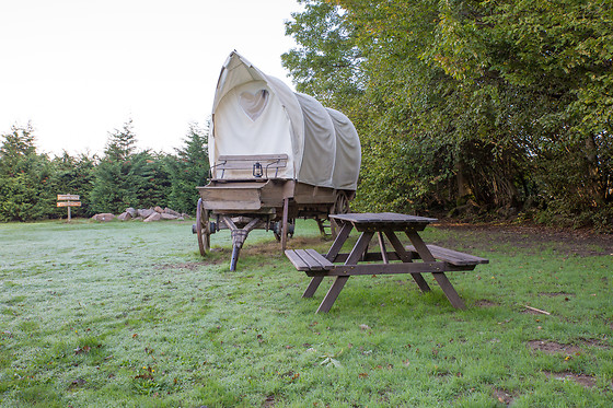 La Ferme Aventure - photo 16
