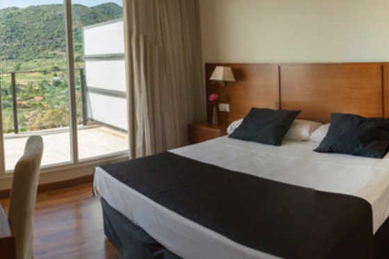 HOTEL SPA SINAGOGA - photo 1