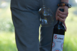 BODEGAS VISENDRA