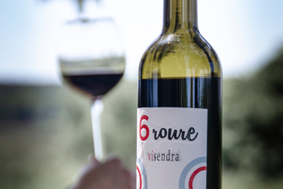 BODEGAS VISENDRA - photo 2