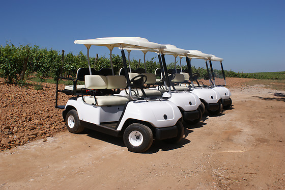 VILE LA FINCA - photo 12