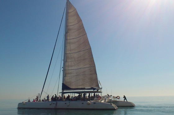 MUNDO MARINO ALICANTE - photo 1