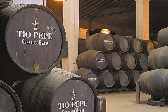 BODEGAS TIO PEPE - photo 0