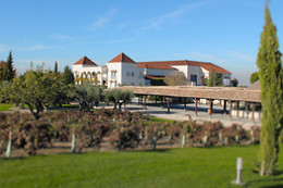 BODEGAS Y VIÑEDOS CASA DEL VALLE