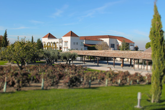 BODEGAS Y VIÑEDOS CASA DEL VALLE - photo 3