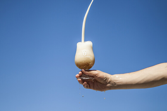 LA PIRATA BREWING - photo 4