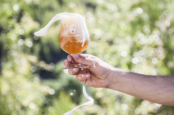 LA PIRATA BREWING - photo 5