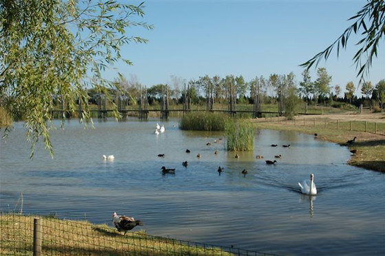 PARC D'AVENTURA I NATURA DELTAVENTUR - photo 11