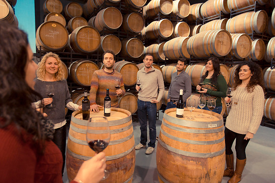 CELLER MASROIG - photo 1