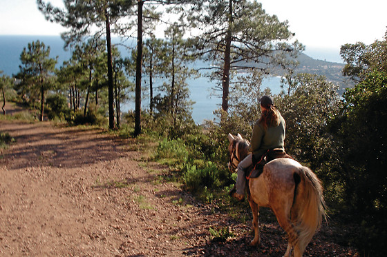 AVENTURA CABAÑEROS - photo 11