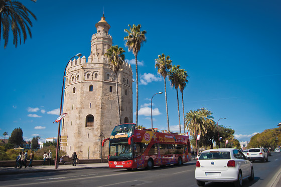 CITY SIGHTSEEING SEVILLA - photo 2