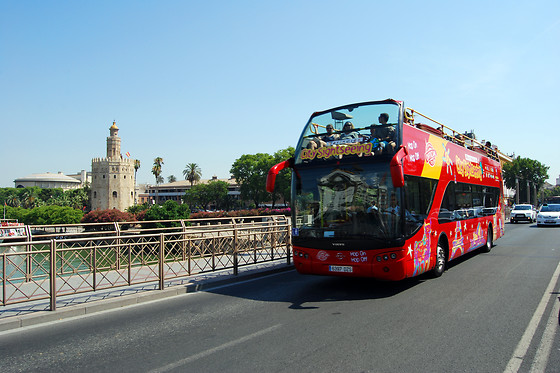 CITY SIGHTSEEING SEVILLA - photo 5