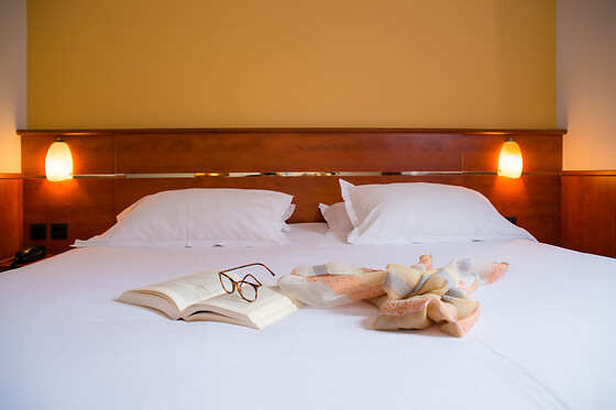 Brit Hotel Rennes St Grégoire - Le Villeneuve - photo 2