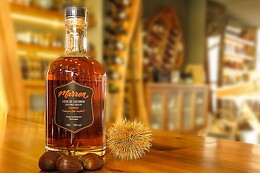 MARRON OFICINA DA CASTANHA
