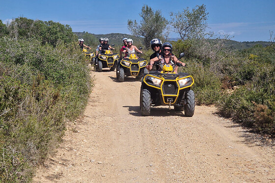 QUAD UNIVERSE - photo 11